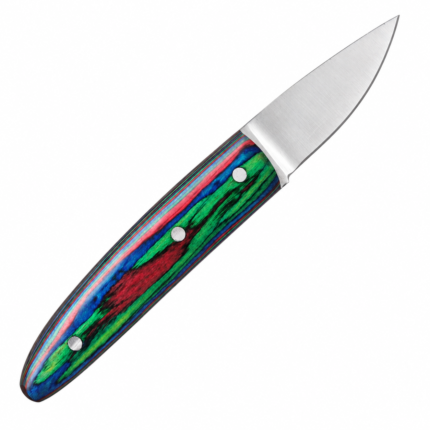 Multicolor handle fixed-blade knife with satin silver blade and red, green, blue and black striped handle on white background.