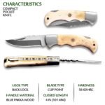 Cream Handle Fixed Blade Knife with polished pointed blade, silver bolster, decorative handle pins and lanyard hole displayed in an open hand