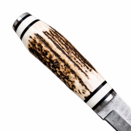 Fixed-blade hunting knife with Damascus-style circular blade pattern, cream-and-brown stag-style handle, and black bands beside a partial animal skull