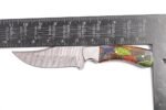 Multicolor handle knife with orange, green, and gray contour patterns, two silver-tone pins, a silver-tone bolster, and a patterned fixed blade.